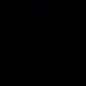 Meet your Posher, Ethan